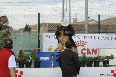 Remise des Prix 112.JPG - CHIENPLUS.COM